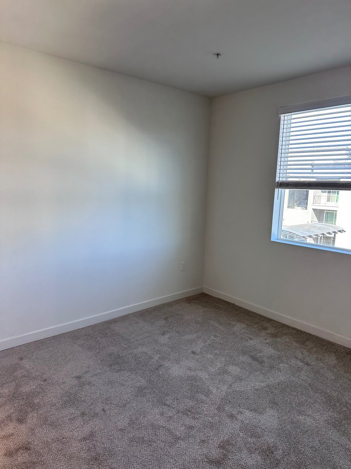 Bedroom in a Reno apartment with one window, carpet flooring, and an uninterrupted wall